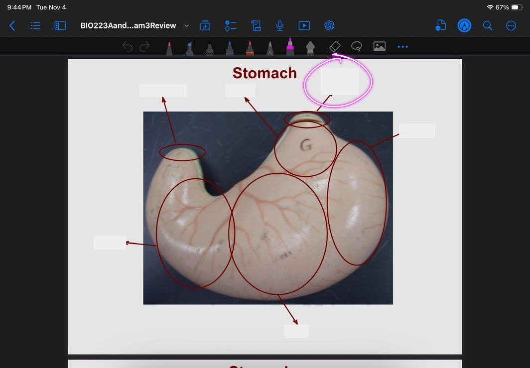 <p>What is this?</p>