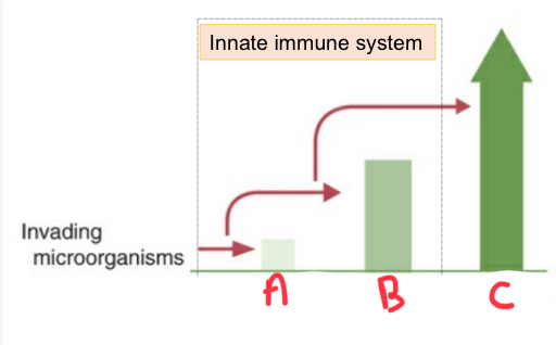 <p>What is C?</p>