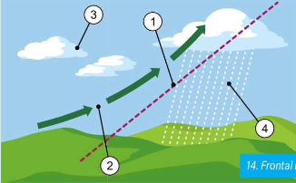 <ol><li><p>this rain occurs when a warm front of air meets a cold front </p></li><li><p>the heavier cold air will sink to the ground and the warm air will rise above it</p></li><li><p>when the air rises it cools and condenses</p></li><li><p>clouds form bringing rain</p></li></ol><p></p>