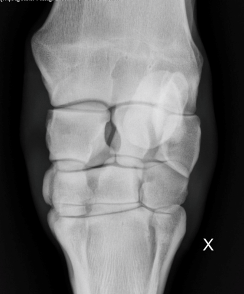 <p>What view(s) could this be?</p>