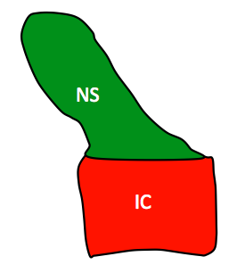 One of the two basic elements of a centra