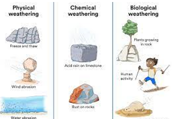 <p>Chemical and mechanical (physical)</p>