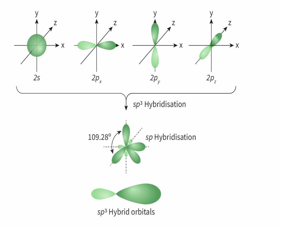 <p><strong>Number of electron domains:</strong> 4</p><p><strong>Electron geometry:</strong> tetrahedral</p><p><strong>Molecular geometry: </strong>Tetrahedral</p><p><strong>Bond angle </strong><u>:&lt;</u> 109.5</p><p><strong>e.g:</strong> CH4, H2O, NH3</p><p>always forms four sigma bonds</p>