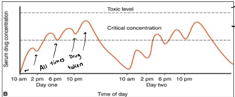<p><u>Ineffective concentration</u> (too low, not enough to bring about response), <u>Critical concentration</u> (achieves the correct response), and <u>toxic effect</u> (too much, has toxic effects on the patient). Correct timing of dosage used to bring about maintain critical concentration.</p>