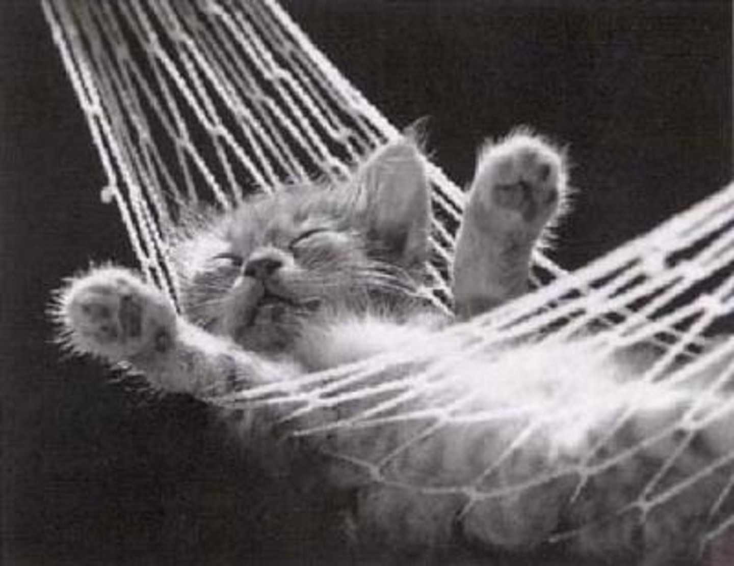 <p>to sleep</p>