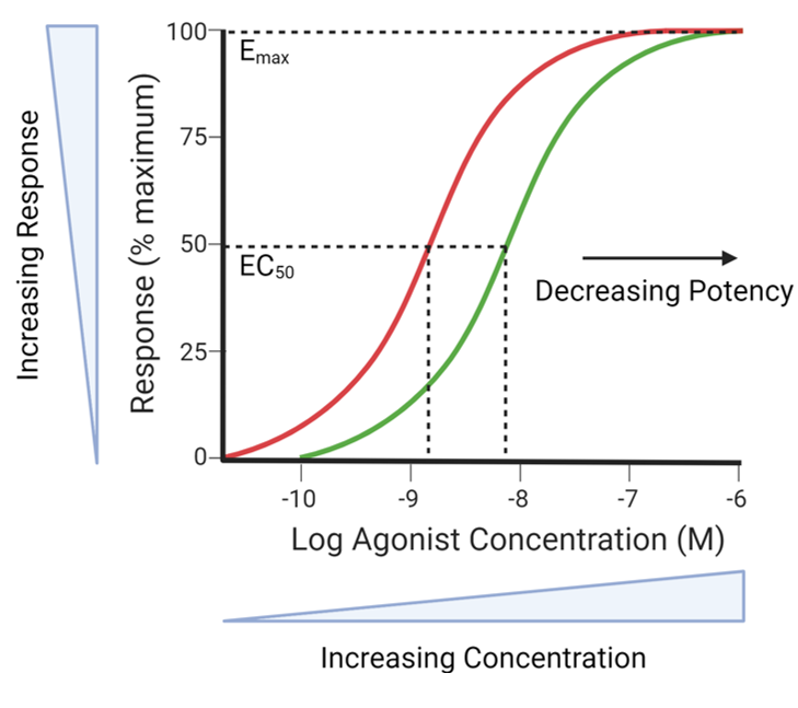 <p>Agonist A is the red line. Agonist B is the green line.</p><p></p><p>Which agonist is more or less potent?</p>