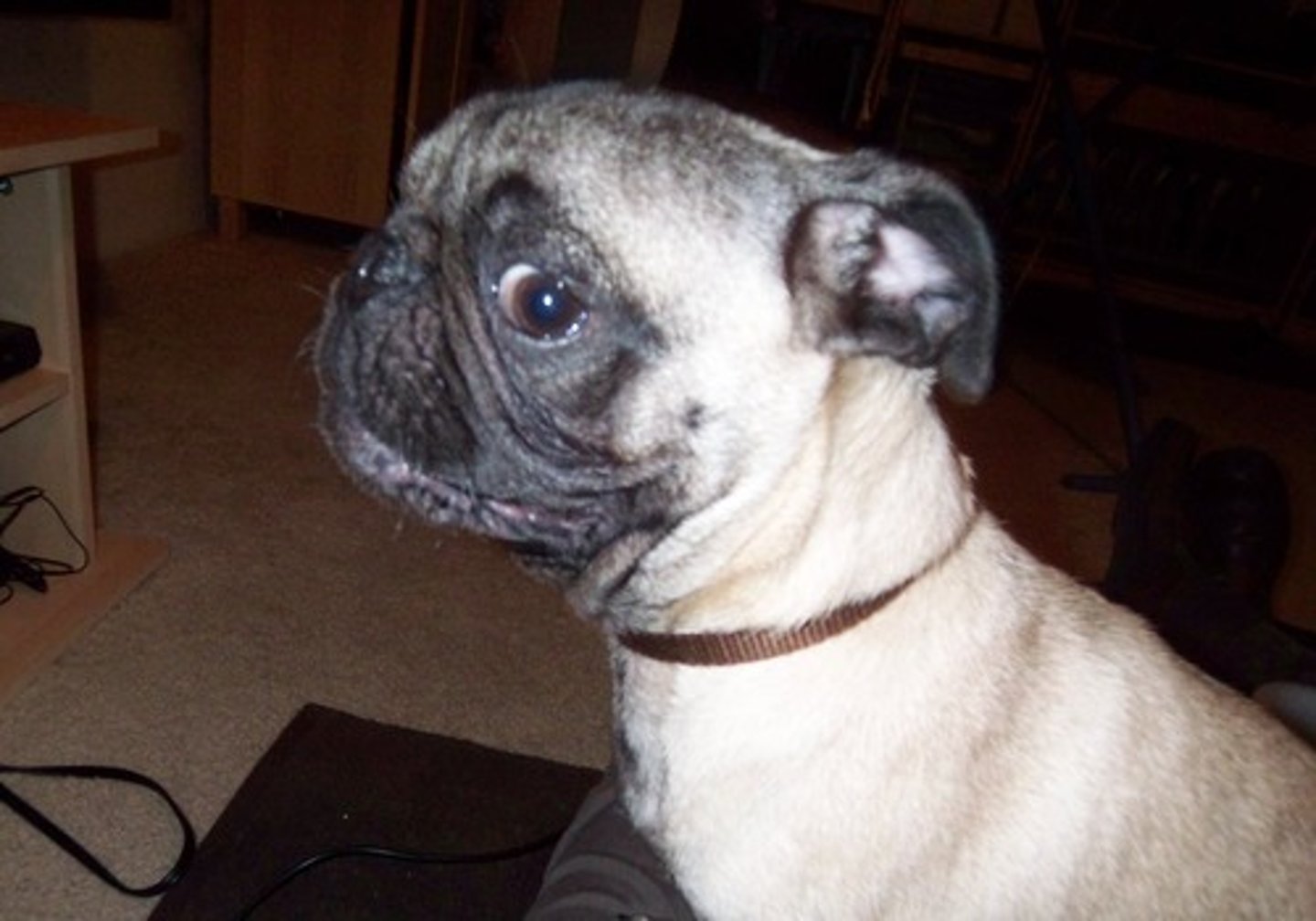 <p>el ocultar las verdaderas intenciones, sentimientos o acciones</p>