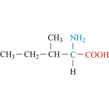 <p>This is isoleucine, is it polar/nonpolar/charged.</p>