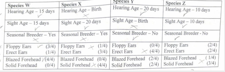 <p>Rank the species in terms of the earliest to the latest to be domesticated</p>