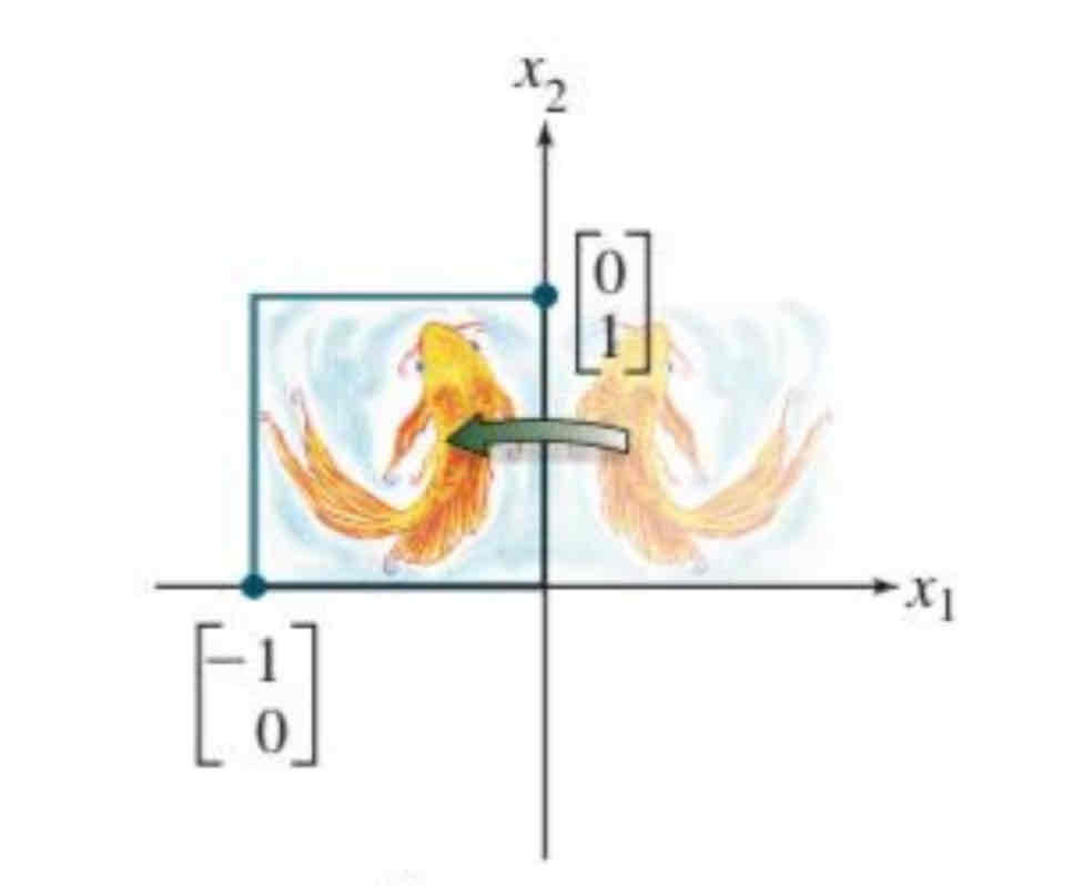 <p>Reflection through the x2 axis</p>