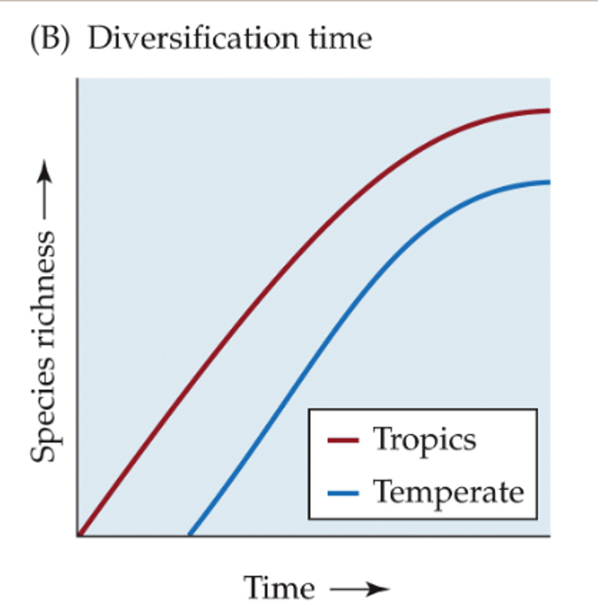 <p>tropics have had more time for diversification</p><p>- more climatically stable over time (no glaciation), potentially most species originate their and migrate to poles</p>