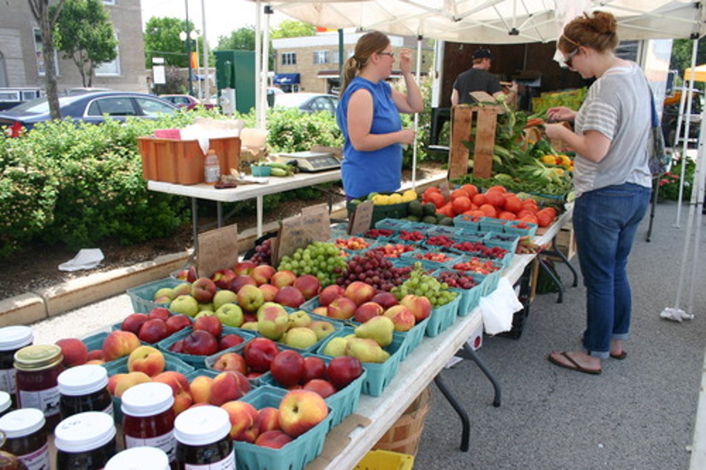<p>Economic system in which individuals and businesses are allowed to compete for profit with a minimum of government interference</p>