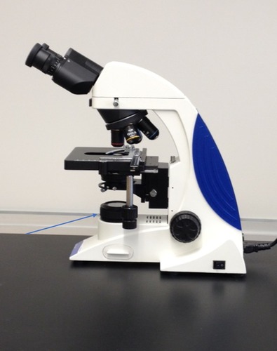 Identify the part of the microscope