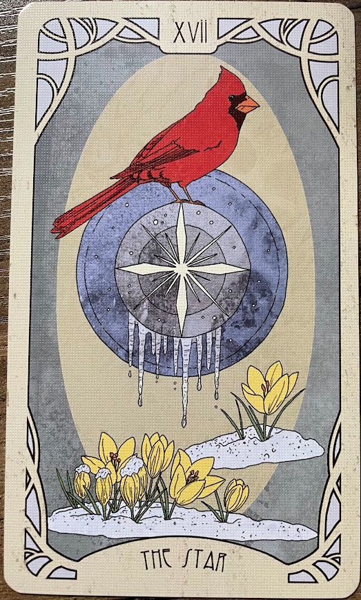 <p>The Star</p>