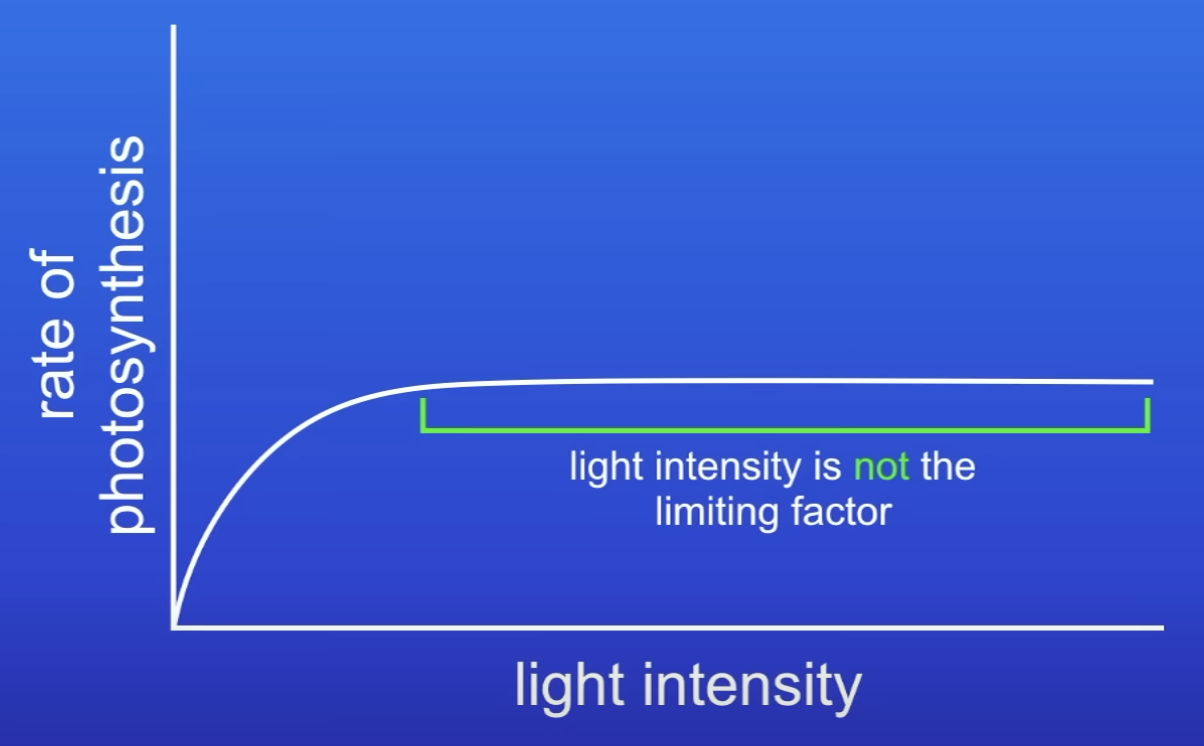 <p>How to find out which factor is the limiting factor when LI stops being one?</p>