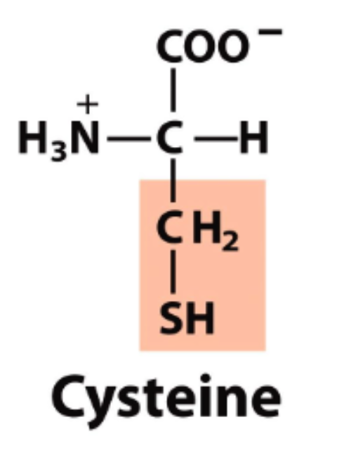 <p>pK<sub>R</sub>=8.18</p>