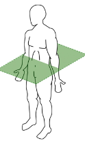 <p>Label the plane of section</p>