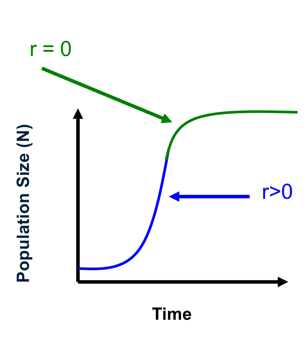 <p>when population size is high</p>