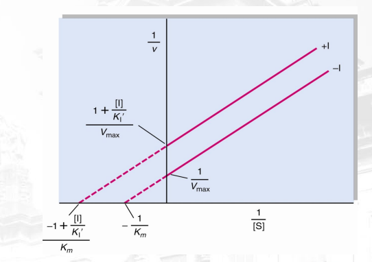 <p>What inhibition is shown? What makes you say that (distinct characteristic in this graph which is lineweaver burk)?</p>