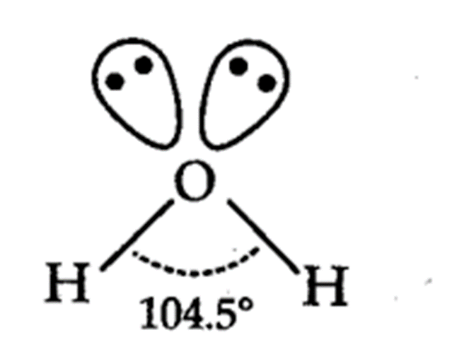 <ul><li><p>4 charge clouds</p></li><li><p>2 bonding pairs and 2 lone pairs</p></li><li><p>109.5</p></li><li><p>v-shaped / bent shape</p></li></ul>