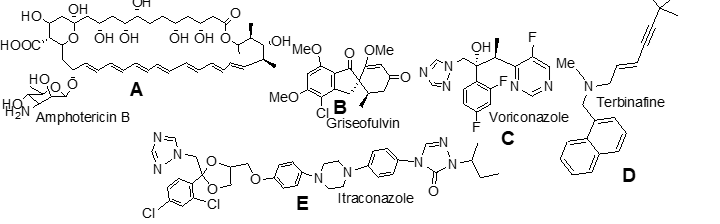 <p>which possesses a bis-triazole pharmacophore;</p>