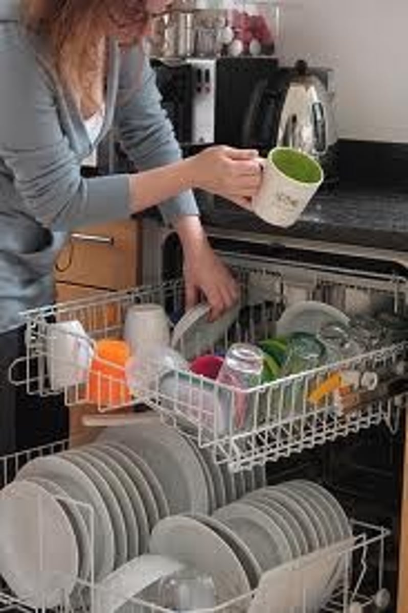 <p>dishwasher</p>