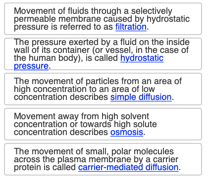 <p><span>Complete each statement by dragging each label into the appropriate blank. Not all terms will be used.</span></p>