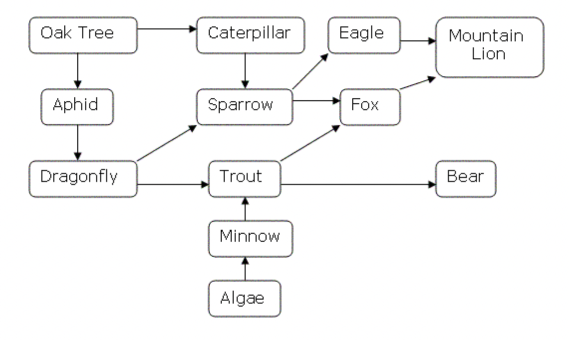 <p>What does the following diagram illustrate?</p>