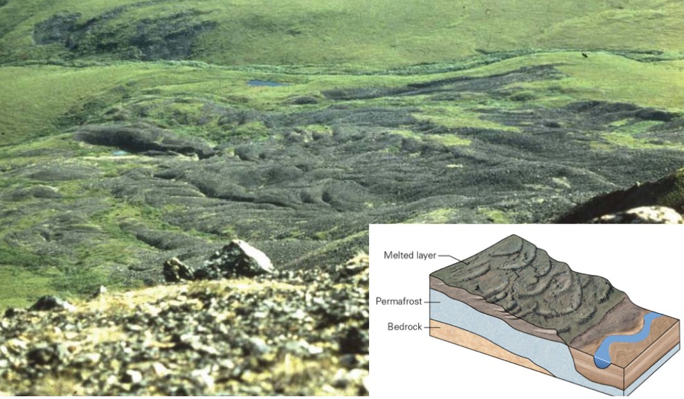 <ul><li><p>downslope creep driven by sequential freezing and thawing in tundra regions</p></li><li><p>results in soggy layer of ground above frozen permafrost that then moves downhill</p><ul><li><p>this water can’t go back down</p></li></ul></li></ul>