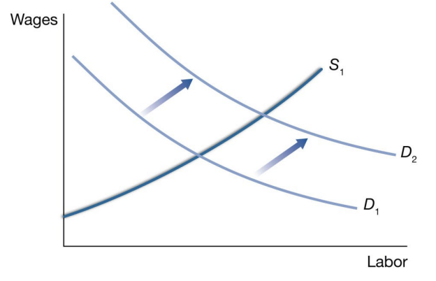 <p>The increase in the human capital of workers increases the marginal product of workers. This increase in productivity will shift the demand curve rightward for these workers. See the graph below</p>