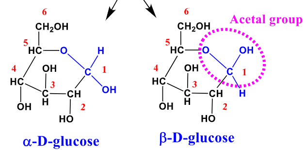 <p>C1 Epimers formed by acetal formation in carbohydrates</p>
