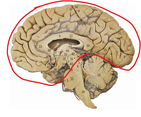<p>What does the circled area refer to</p>