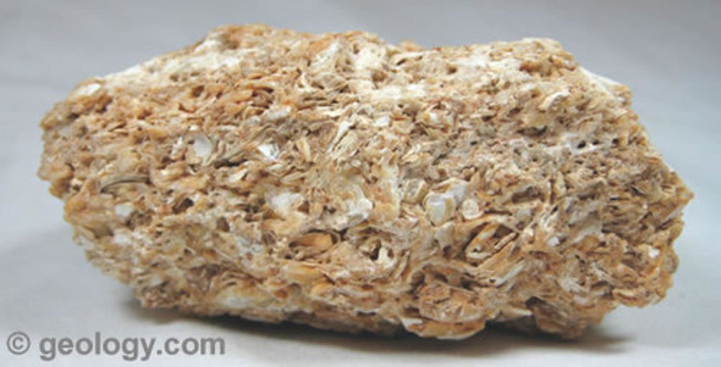 <p>Sedimentary</p><p>Organic</p>