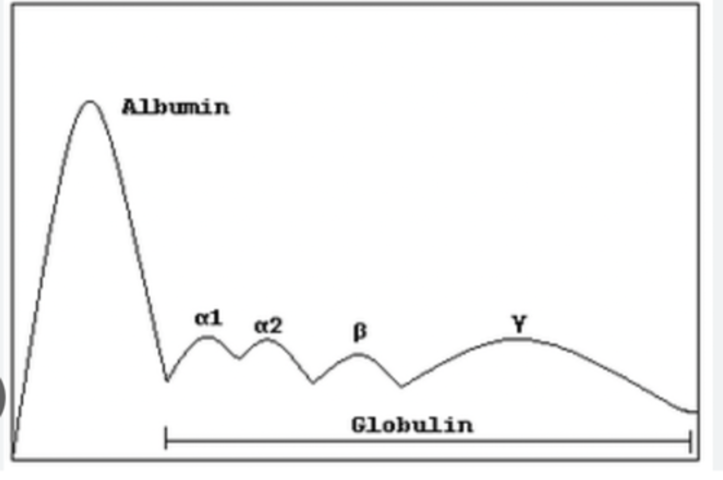 <p>1. Mise en évidence</p><p>- Électrophorèse des protéines sériques (EPS) : présence d’un pic monoclonal (souvent en zone γ ou β).</p><p>- Immunofixation sérique et urinaire : typage de la protéine monoclonale :</p><p>IgG (70 % des cas), IgA (15 %), IgM (10 %), plus rarement chaînes légères seules (κ ou λ).</p><p>2. Bilan complémentaire</p><p>Pour éliminer une hémopathie maligne :</p><p>- Numération formule sanguine (NFS) : normale.</p><p>- Créatinine, calcémie : normales.</p><p>- Bilan osseux (radiographies / IRM) : absence de lésions lytiques.</p><p>- Électrophorèse des protéines urinaires (EPU) : recherche de protéine de Bence-Jones.</p><p>- Myélogramme / biopsie médullaire : plasmocytes < 10 %.</p>