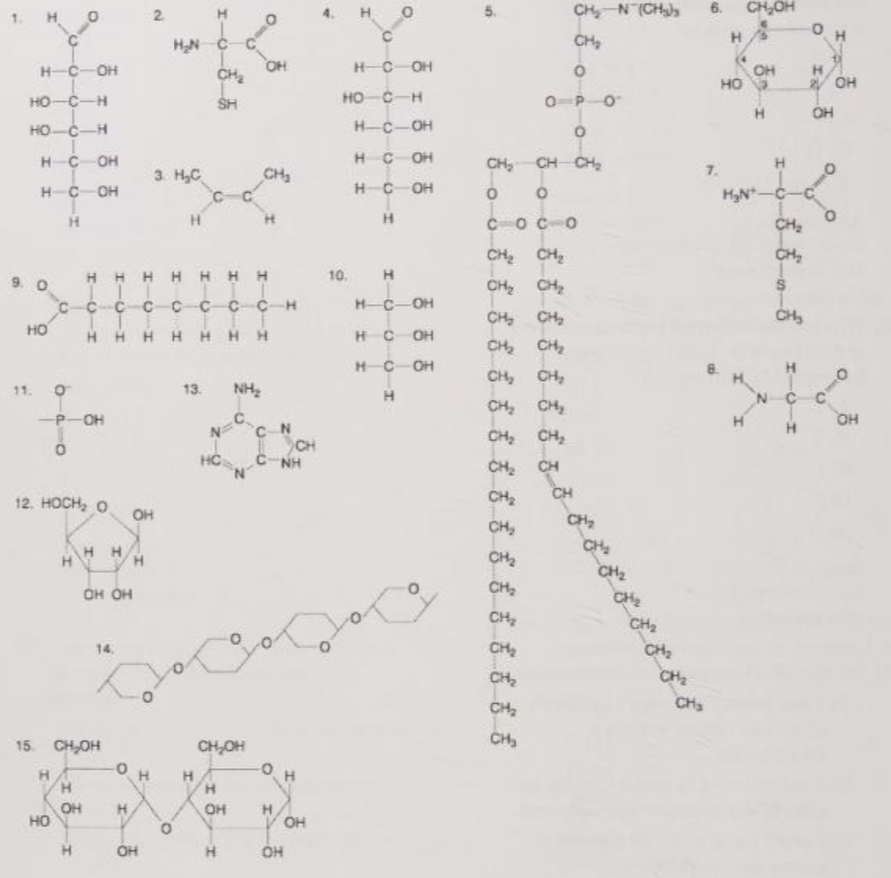 <p>Which of the following molecules has (have) a functional group that frequently is involved in maintaining the tertiary structure of a protein?</p><p>A) 2</p><p>B) 3</p><p>C) 9</p><p>D) 11</p><p>E) 9 and 11</p>