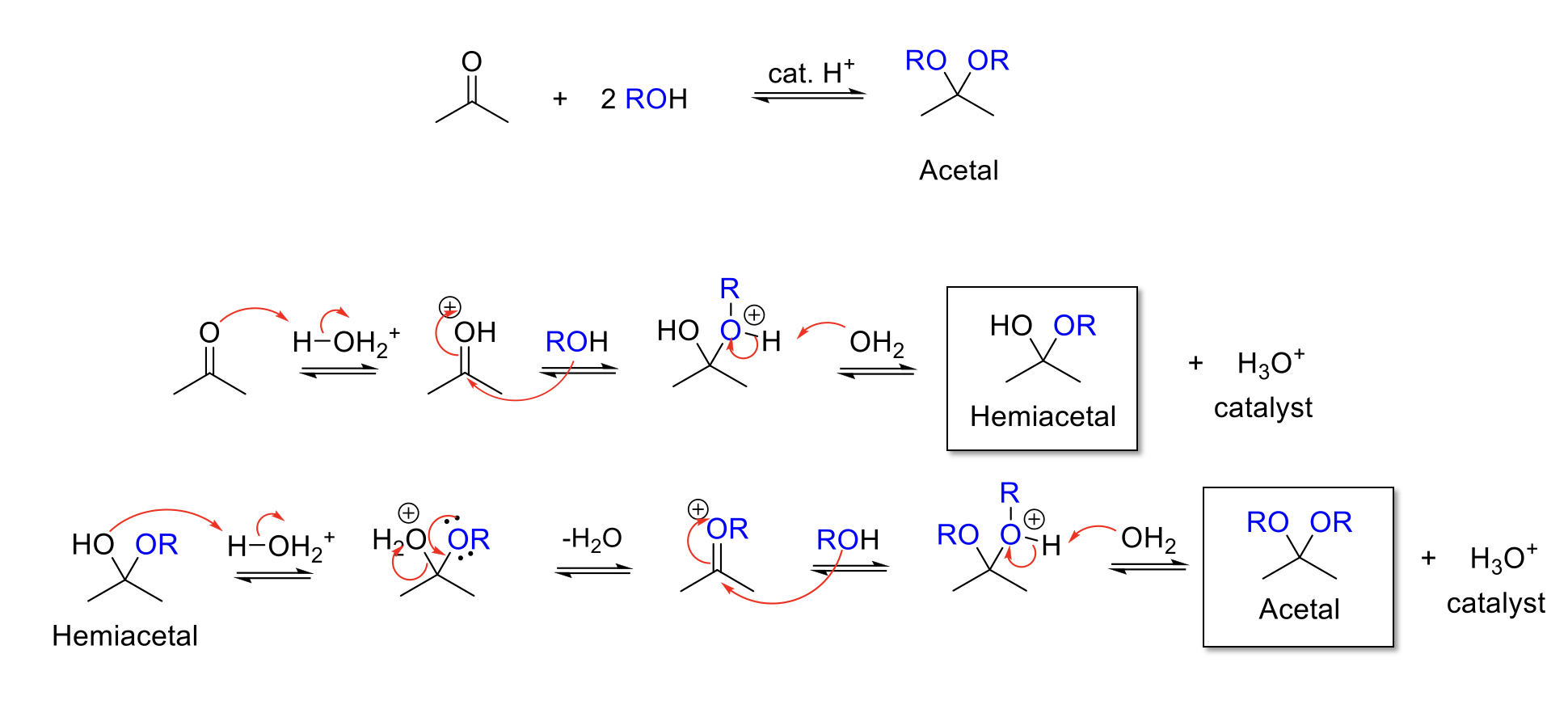 <p><strong>Notes:</strong></p><p>Acid conditions = H<sub>3</sub>O<sup>+</sup></p><p>Adds two -OR to the carbonyl carbon.</p><p>Forms a hemiacetal intermediate.</p><p></p><p><strong>Mechanism:</strong></p><p>Acid protonates ketone/aldehyde. Alcohol attacks carbonyl carbon. -ROH<sup>+ </sup>is deprotonated.</p><p>-OH is protonated. Reformation of C=O bond kicks out H<sub>2</sub>O. Alcohol attacks carbonyl carbon. -ROH<sup>+</sup> is deprotonated.</p>