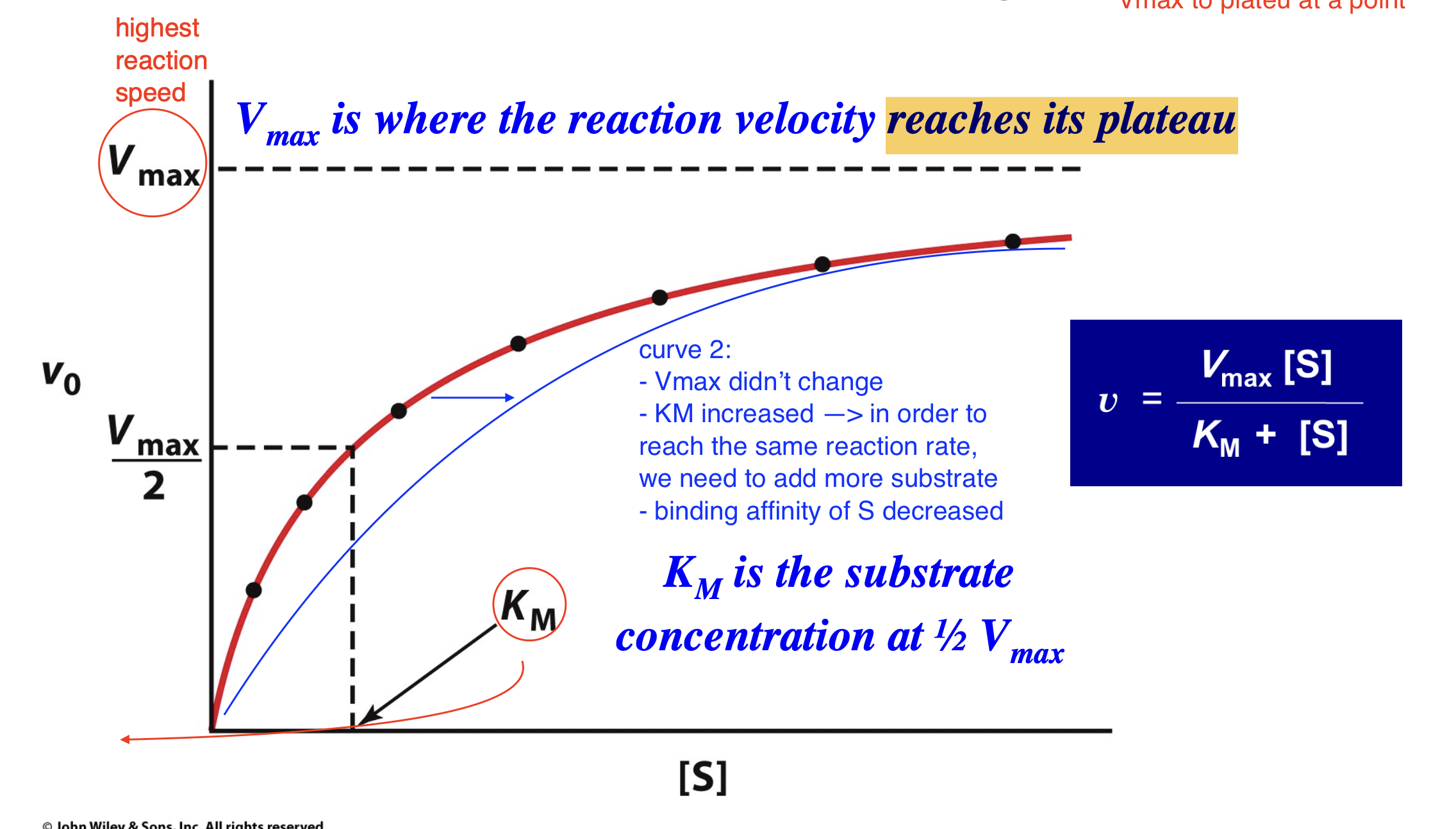 <ul><li><p>still starts at 0 and plateaus at the same height (same Vmax)</p></li><li><p>KM has increased —&gt; in order to reach the same reaction rate, we need to add more substrate</p></li><li><p>binding affinity of S decreased</p></li></ul><p></p>