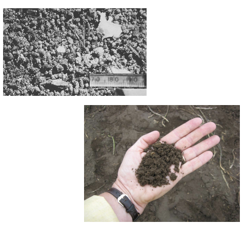 <p><strong>describe spheroidal soil structure and the two subtypes.</strong></p>