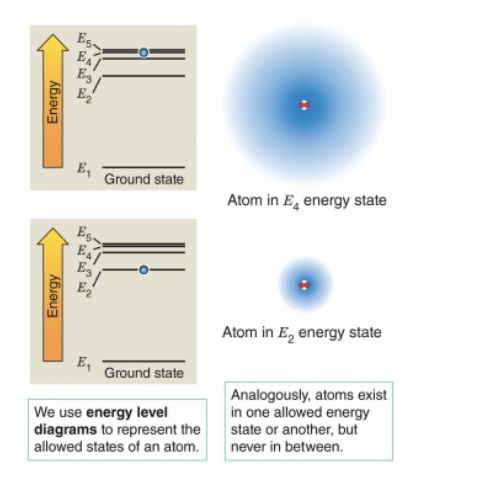 <p>Electrons in an atom are quantized (can only have certain energy levels). Like how elevators only go to certain floors.</p><p><strong>Ground state</strong> (1) is electrons lowest energy lvl. <strong>Excited states </strong>are electrons not at the ground state.</p><p>When electrons change energy lvls, they <strong>absorb</strong> (going to higher lvl) or <strong>emit</strong> (going to lower lvl) a <strong>photon</strong> of light.</p><p></p>