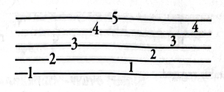 <p>Where most music is written. A space of five lines and four spaces.</p><ul><li><p>Lines and spaces are numbered from bottom to top.</p></li></ul>