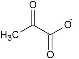 <p>alpha keto acid of alanine</p>