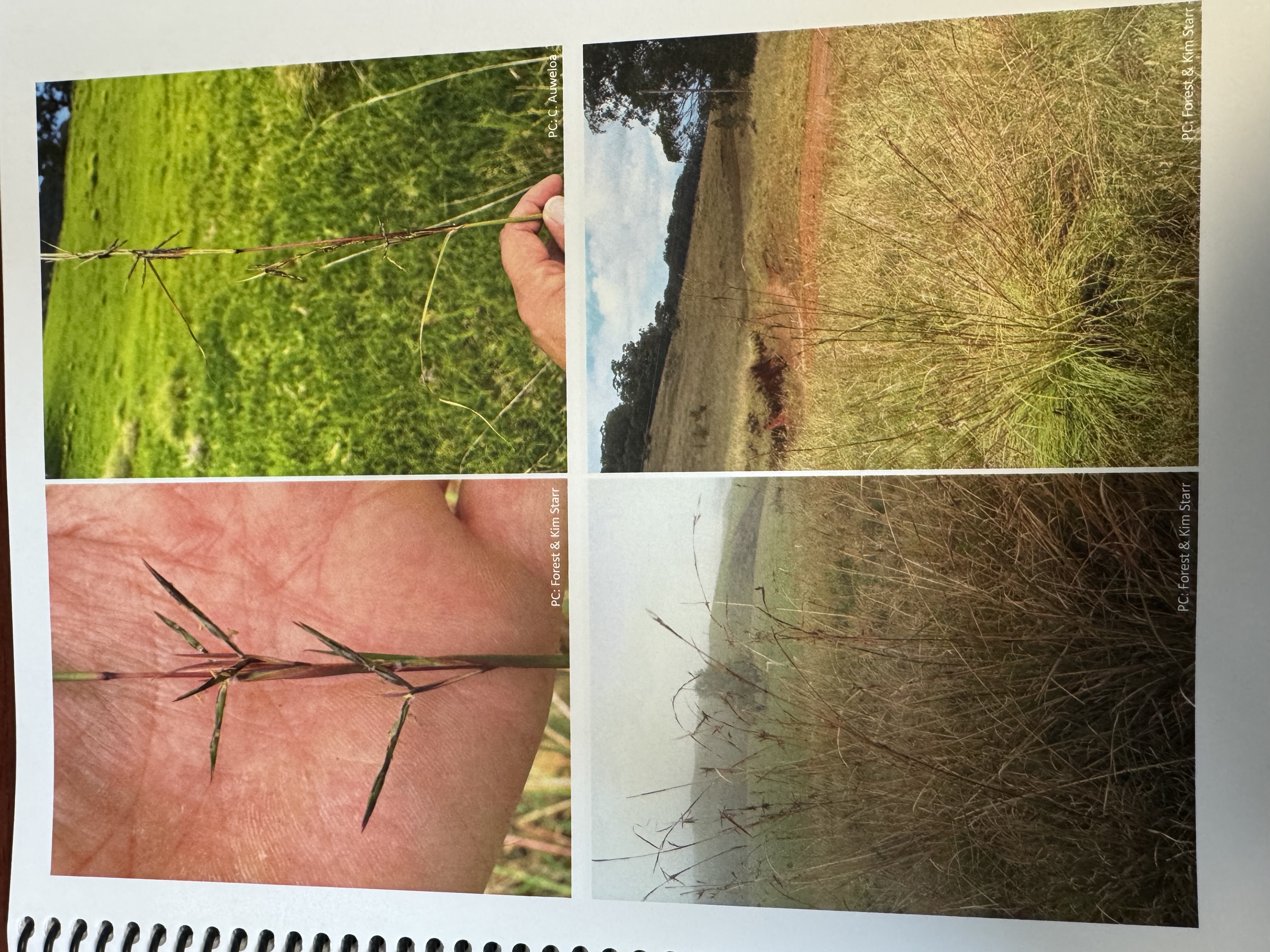 <img src="blob:null/41442724-36a1-4d66-9f62-af10947504f0"><p></p>