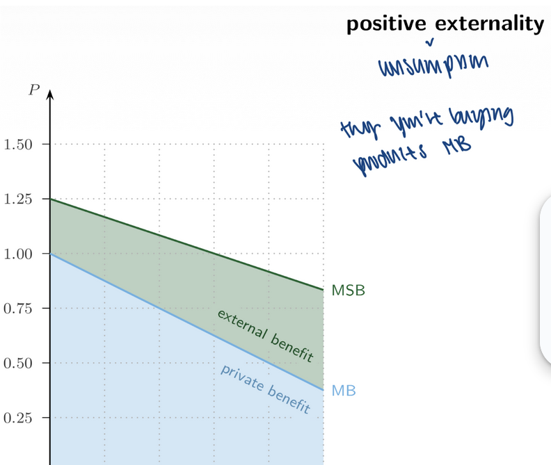 <p><span style="background-color: transparent; font-family: "Times New Roman", serif;"><strong><span>6. Positive Externalities (Slides 23–27)</span></strong></span></p><ul><li><p><span style="background-color: transparent; font-family: "Times New Roman", serif;"><span>Education</span></span></p></li><li><p><span style="background-color: transparent; font-family: "Times New Roman", serif;"><span>Vaccinations</span></span></p></li><li><p><span style="background-color: transparent; font-family: "Times New Roman", serif;"><span>R&amp;D</span></span></p></li><li><p><span style="background-color: transparent; font-family: "Times New Roman", serif;"><span>Public __</span></span></p></li><li><p><span style="background-color: transparent; font-family: "Times New Roman", serif;"><span>Well-maintained lawns</span></span></p></li></ul><p></p>