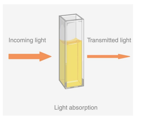 <p>-When a beam of radiation passes through a sample, e.g. a solution, several things happen:</p><p>(a) some of the radiation is absorbed by the sample</p><p> (b) some of the radiation is reflected/scattered </p><p>(c) some radiation passes straight through.</p><p>-For analytical purposes we’re interested in measuring the amount of radiation absorbed by the sample and therefore need to eliminate/minimise the effects of reflection and scattering. This is done by taking 𝐼0 as equal to the intensity passing through the cell when filled with a blank solution (everything except the substance being measured), and 𝐼 as the intensity passing through the cell when filled with the sample solution.</p>