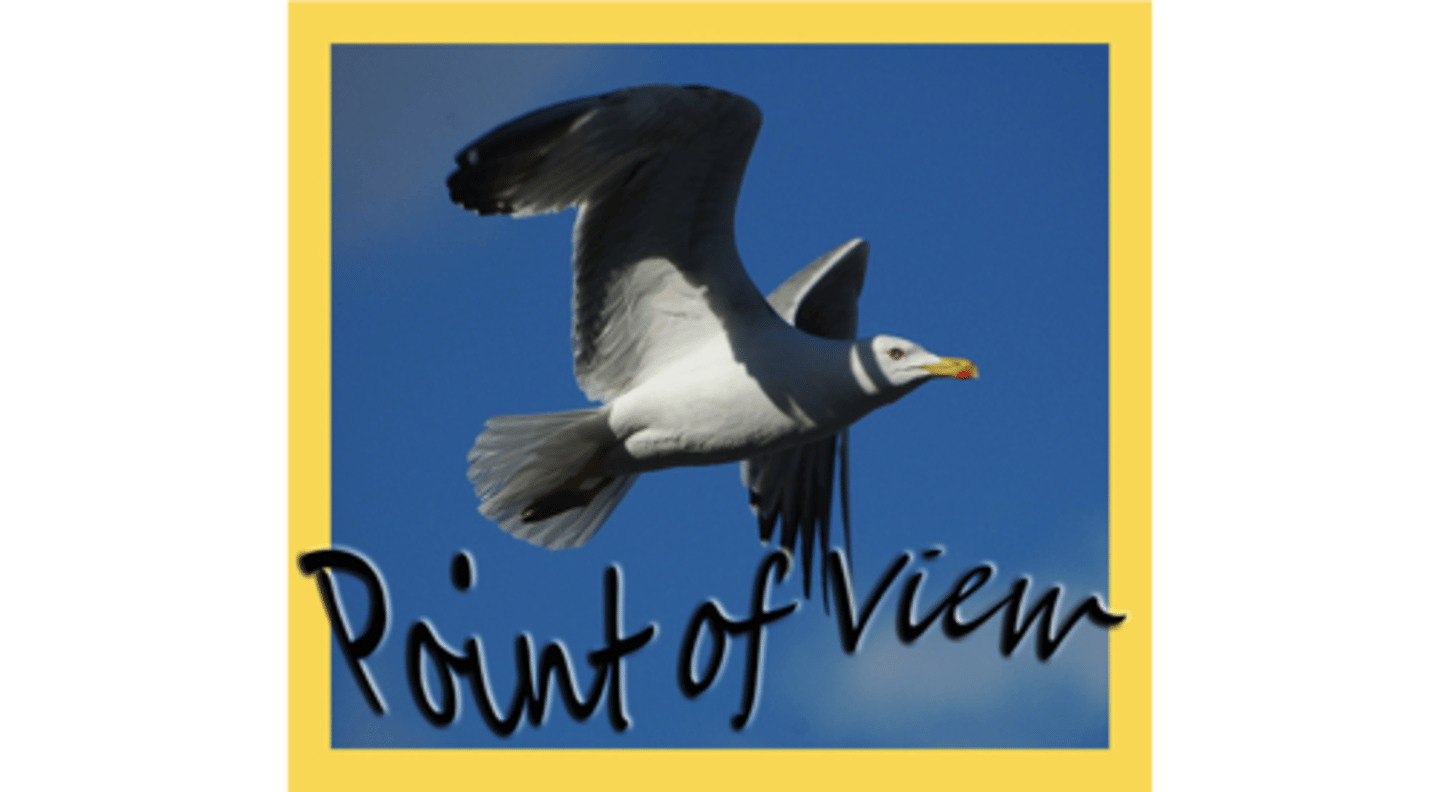 <p>point of view</p>