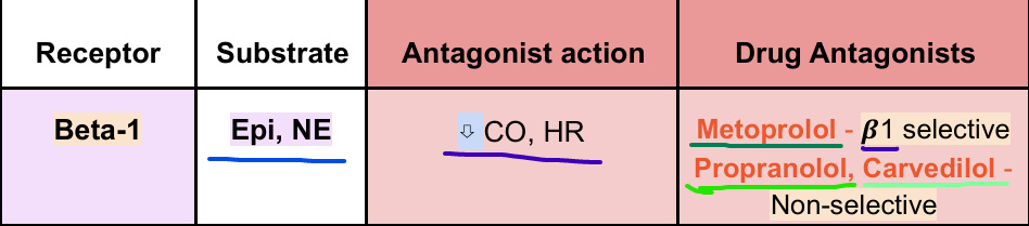<p>– Tip Gal p. 46<br>- location: <span style="color: rgb(245, 13, 13);">Heart muscle</span><br><strong>Metoprolol</strong>:&nbsp;<span style="color: rgb(239, 10, 10);">beta-1</span>&nbsp;<strong>blocker<br></strong>- Indication: Migraine (PPX),<strong><br>Propranolol</strong>:&nbsp;<span style="color: red;">beta-1</span>&nbsp;and&nbsp;<span style="color: rgb(240, 159, 198);">beta-2</span>&nbsp;<strong>blocker</strong><br>- Indication: Migraine (PPX), Thyroid storm, tremor, anxiety<br><strong>Carvedilol</strong>:&nbsp;<span style="color: red;">beta-1</span>&nbsp;and&nbsp;<span style="color: rgb(240, 159, 198);">beta-2</span> <strong>blocker</strong>&nbsp;&amp;&nbsp;<span style="color: rgb(45, 235, 86);">alpha-1</span> <strong>blocker</strong></p>