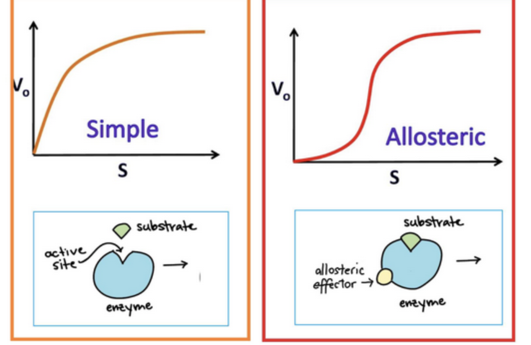 <p><span><strong><span>If a curve is sigmoidal → the process is</span></strong></span></p>