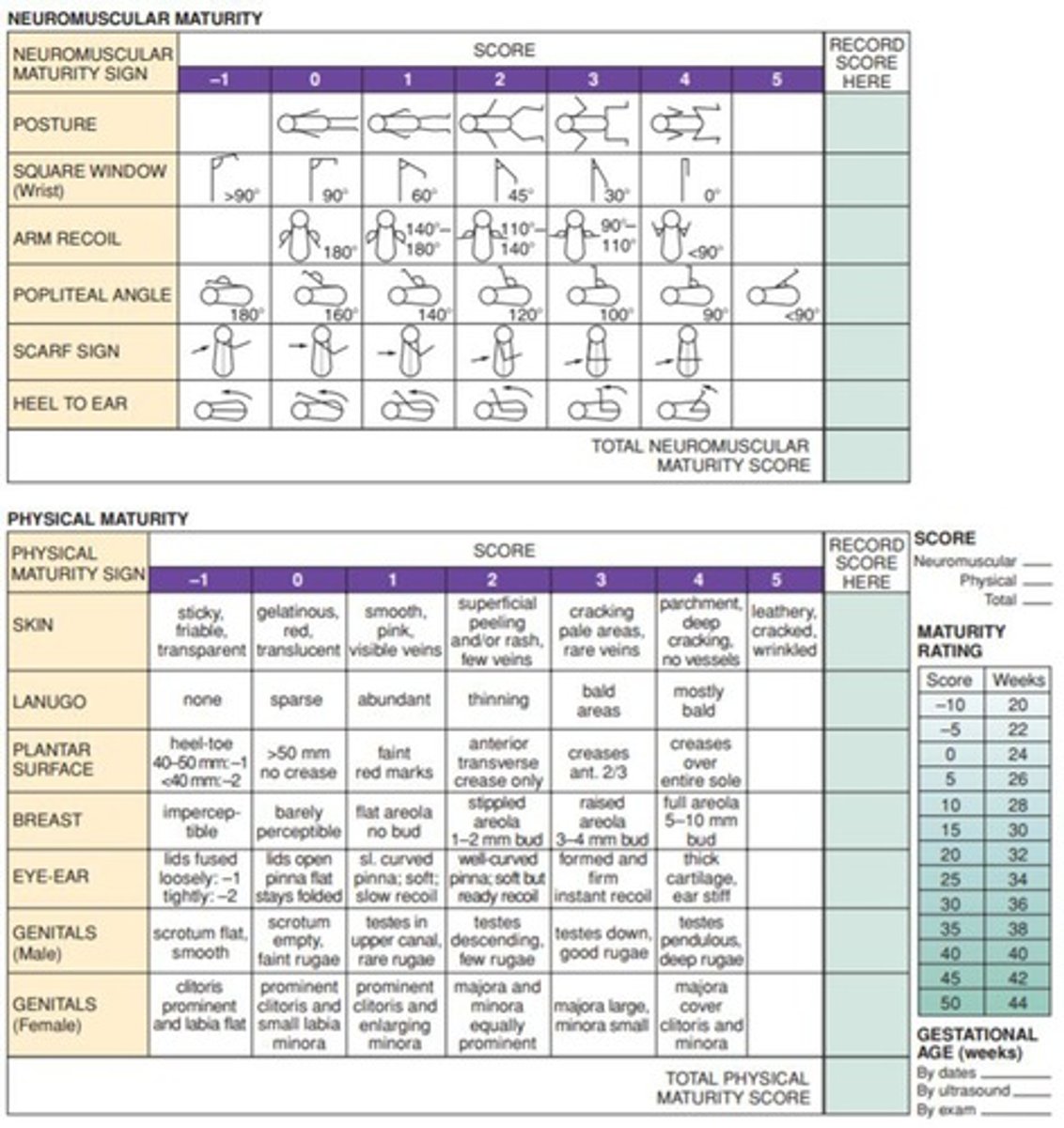 <p>To evaluate a newborn's transition from intrauterine to extrauterine life.</p>