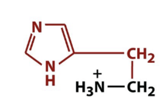 <p>biologically active amino acid derivative </p>