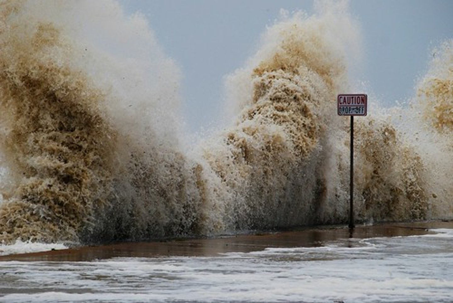 <p>a local rise in sea level near the shore that is caused by strong winds from a storm, such as those from a hurricane</p>